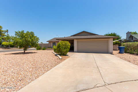 Colt, CHANDLER, AZ 85224