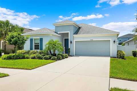 Walsh Oak, WESLEY CHAPEL, FL 33545