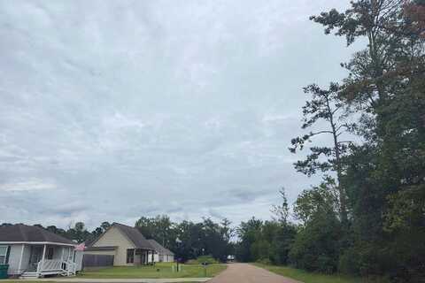 Ridgelake, PONCHATOULA, LA 70454