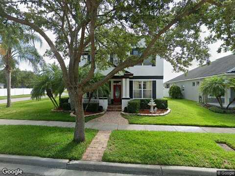 Florida Soapberry, ORLANDO, FL 32828