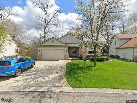 Silver Maple, LAKE ORION, MI 48359