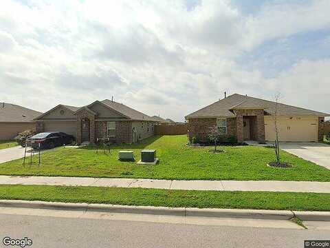 Camellia, HUTTO, TX 78634