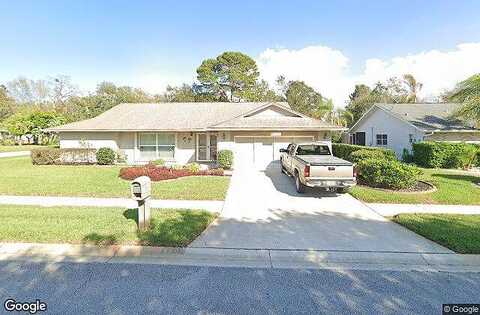 Reynolds, HUDSON, FL 34667