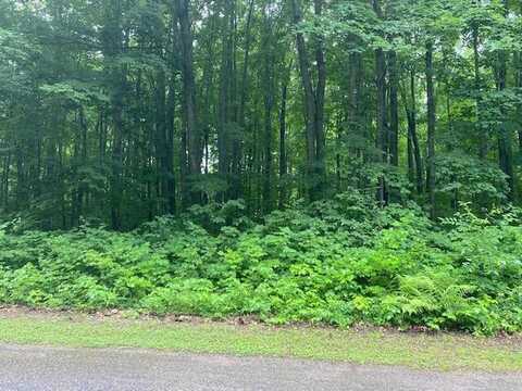 Lot 531 Sprucedale Circle, Elmira, MI 49730