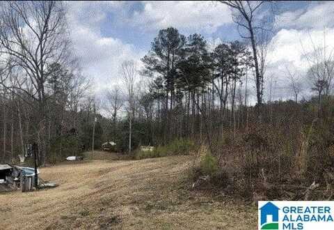 25 HUNTER TRAIL, PELL CITY, AL 35128