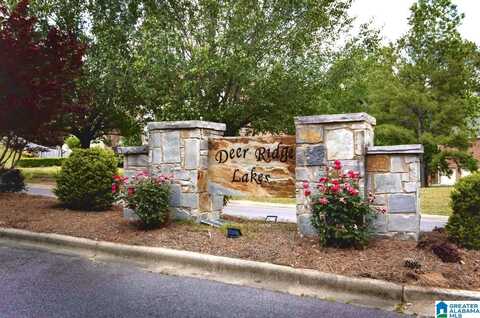 325 DEER RIDGE LANE, CHELSEA, AL 35043