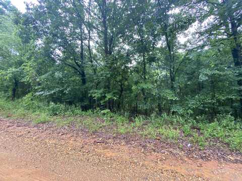 TBD Bluegrass Road, Nashville, AR 71852