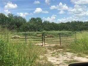 1 N Broadway & NE 5th St., Premont, TX 78375