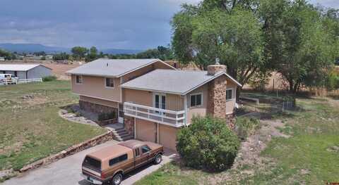 11544 Kelly Lane, Austin, CO 81410