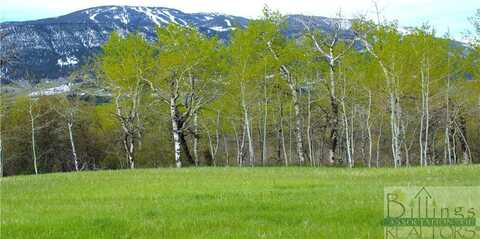 Lot 13a Red Lodge Creek Road, Red Lodge, MT 59068