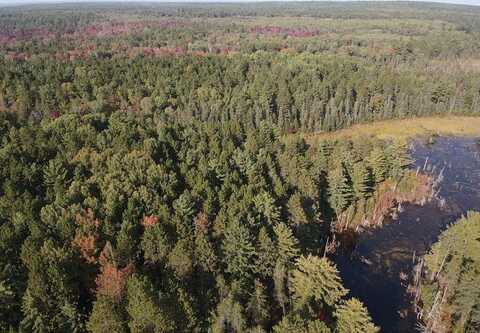 S BRANCH TRAIL 40 ACRES, INDIAN RIVER, MI 49749