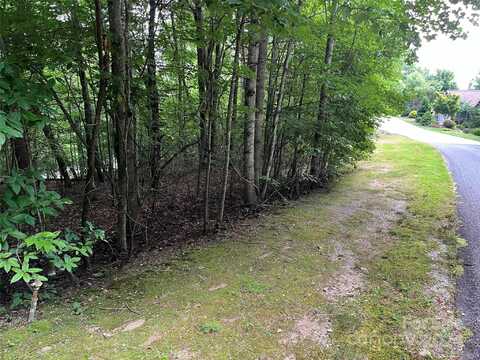 185 Ladys Fern Trail, Hendersonville, NC 28739