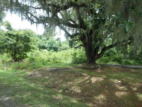 8046 Cedar Hall Road, Edisto Island, SC 29438