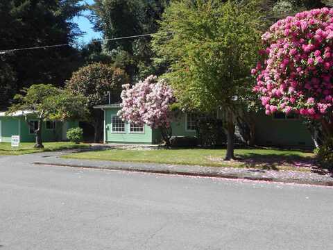 107 Azalea, Klamath, CA 95548