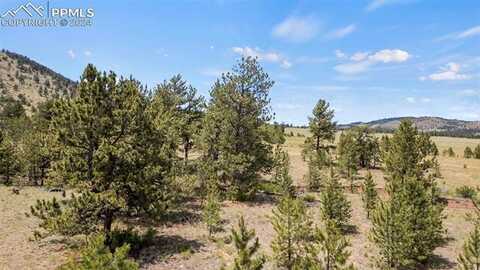 424 Mesa Road, Hartsel, CO 80449