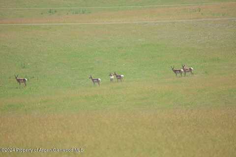 Tbd County Road 30, Craig, CO 81625