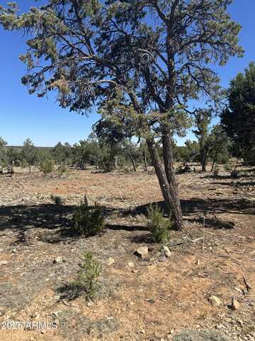4131 SUNSET RIDGE Loop, Happy Jack, AZ 86024