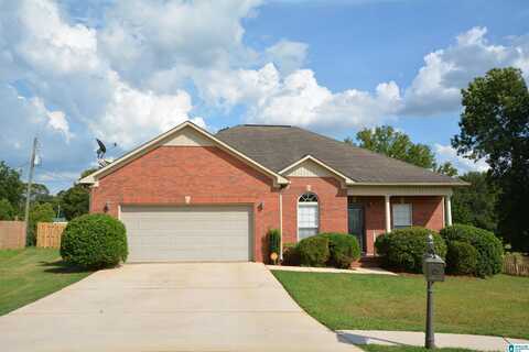 102 CAMERONS WAY, LINCOLN, AL 35096