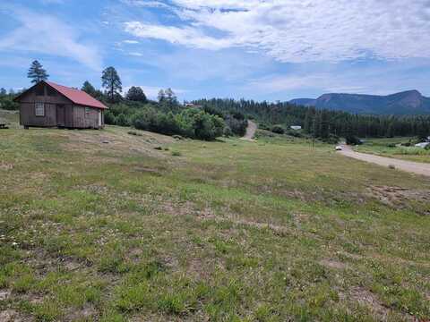 233/201 Sparrow Circle, Pagosa Springs, CO 81147