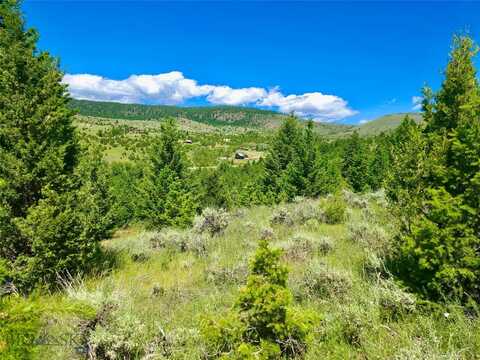 Lots 3-10 Block 265, Virginia City, MT 59729