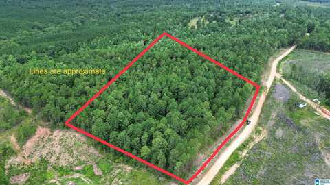 0 COUNTY ROAD 485, CLANTON, AL 35046