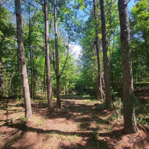 0 Split Rail Way, Guild, TN 37340