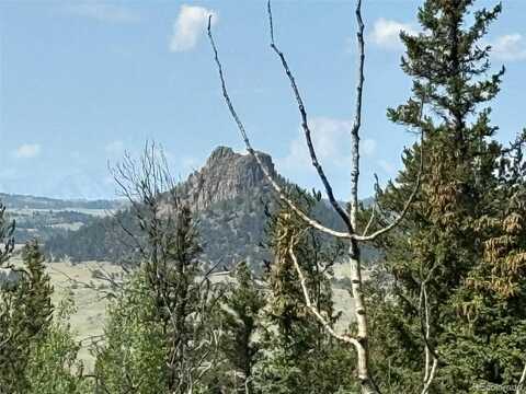 365 Bonus Gulch Way, Jefferson, CO 80456