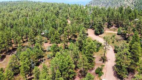 160 Far View, Pagosa Springs, CO 81147