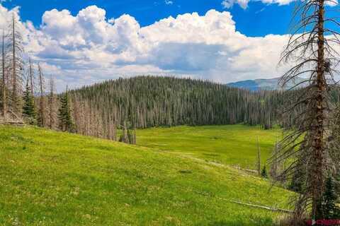 TBD Stunner Pass, Platoro, CO 81120