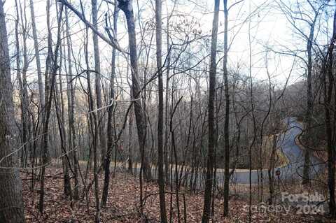 54 Great Aspen Way unit: 701, Black Mountain, NC 28711