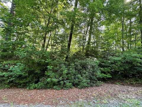67 Peppervine Circle, Rosman, NC 28772
