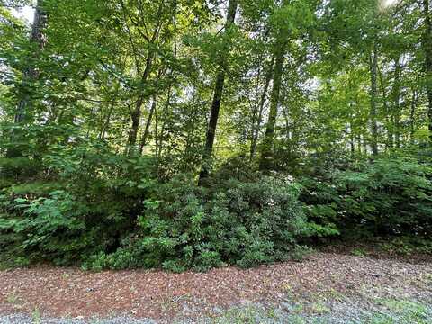 67 Peppervine Circle, Rosman, NC 28772