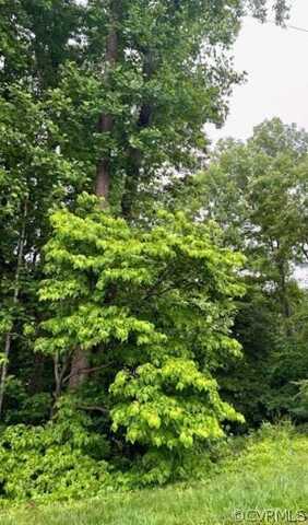 142b Tennis Lane, Ruther Glen, VA 22546