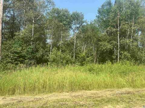 0000 Faust Road, Tomahawk, WI 54487