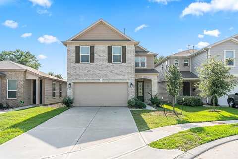 Gulf Willow, TOMBALL, TX 77377