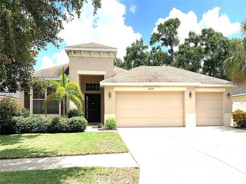 Holland, RIVERVIEW, FL 33578