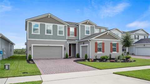 Canna Lily, CLERMONT, FL 34711