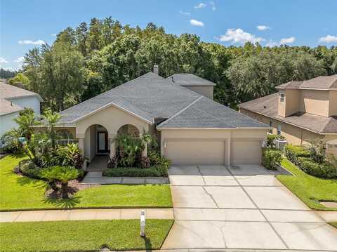 Deerbourne, WESLEY CHAPEL, FL 33543