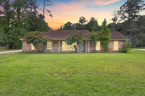 Pinemont, SOUR LAKE, TX 77659