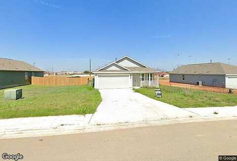 Agave, JOURDANTON, TX 78026