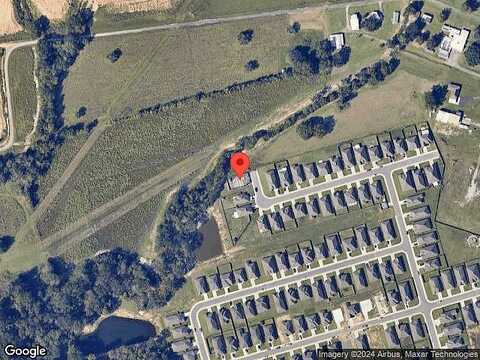 Rambling Rose, LAFAYETTE, LA 70508