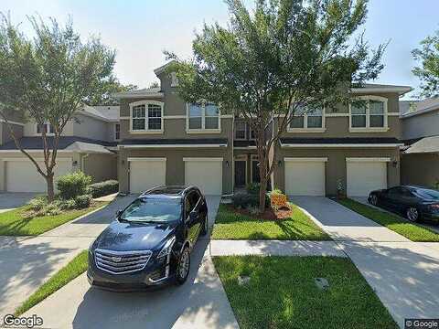 Black Walnut, JACKSONVILLE, FL 32226