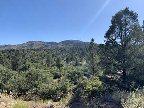 17545 W Buck Horn Drive, Peeples Valley, AZ 86332