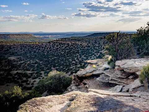 TBD Road W.2, Pleasant View, CO 81335