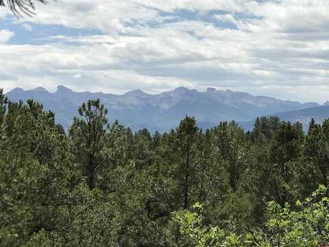 202 Woodchuck Place, Ridgway, CO 81432