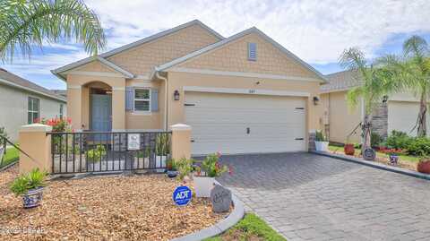 347 Caryota Court, New Smyrna Beach, FL 32168