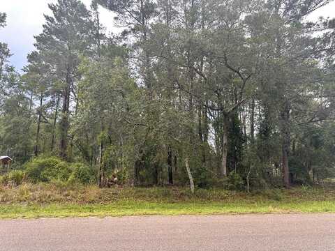 tbd Sugar Hill Ln, Steinhatchee, FL 32359