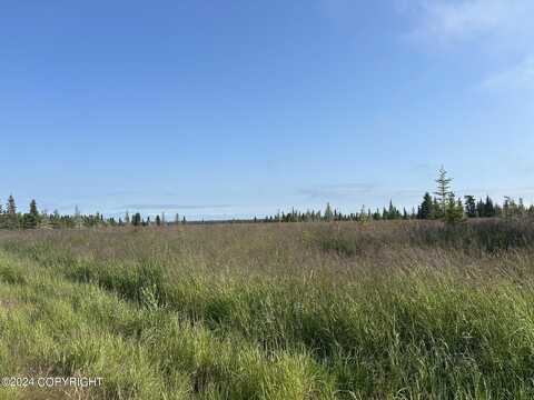 35826 Agriculture Street, Kenai, AK 99611
