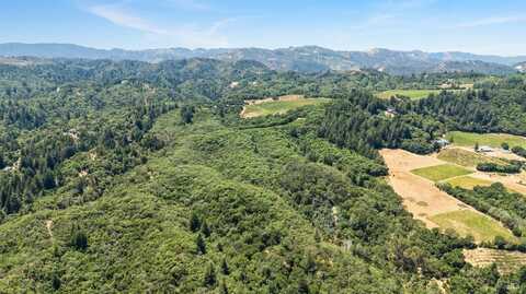 6445 Mountain View Ranch Road, Healdsburg, CA 95448