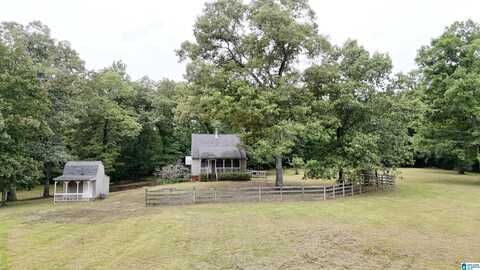 1695 SANIE ROAD, ODENVILLE, AL 35120